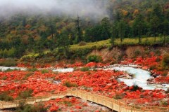 海螺壹號(hào)-木格措、瀘定橋、紅石公園、磨西古鎮(zhèn)3日游